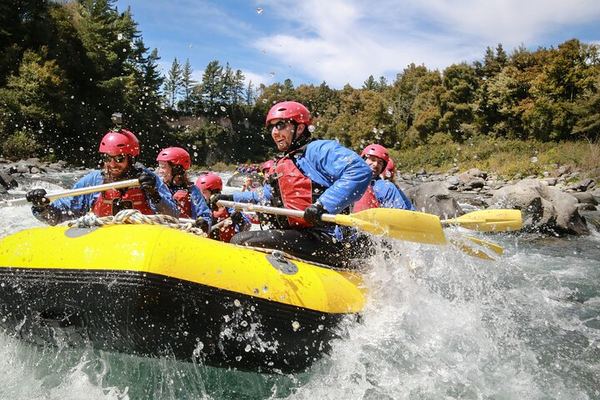 Grade 3 Rafting on the Tongariro: Blue Ducks, Volcanic Cliffs and Enormous Trout