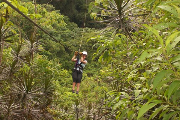 Zipline & Canopy