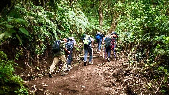 Acatenango Volcano Overnight Hike with Comfort Glamping