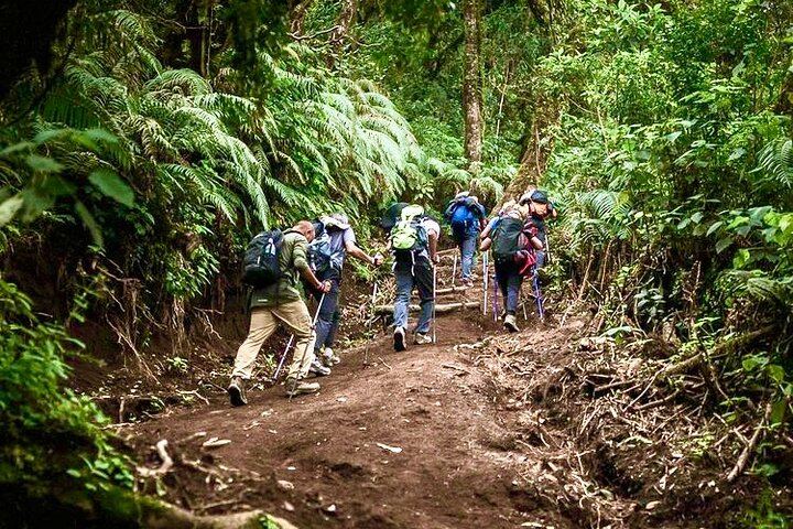 Acatenango Volcano Overnight Hike with Comfort Glamping