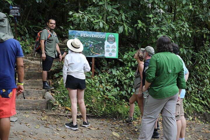 Morning Arenal Volcano Hike, Lunch & Natural Hot Springs River