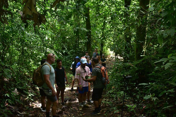 Afternoon Arenal Volcano Tour & Natural Hot Springs River