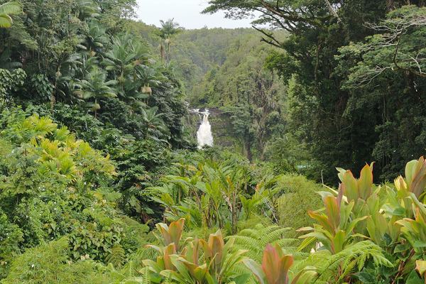 Waterfalls & Black Sand Combos