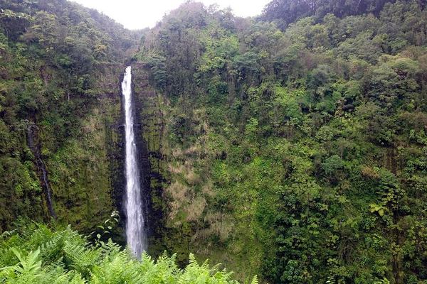 Kona to Kilauea via the Hamakua Coast: Laupahoehoe, Akaka Falls, East Rift