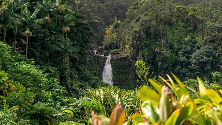 Akaka Falls Tour - Volcanoes National Park and Hilo Discovery