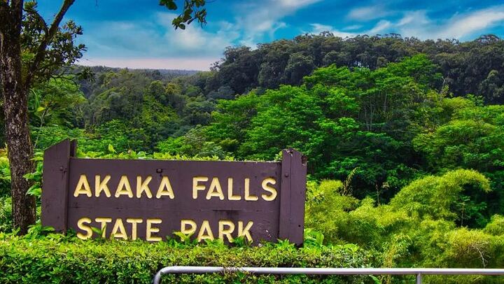 Akaka Falls Tour - Volcanoes National Park and Hilo Discovery