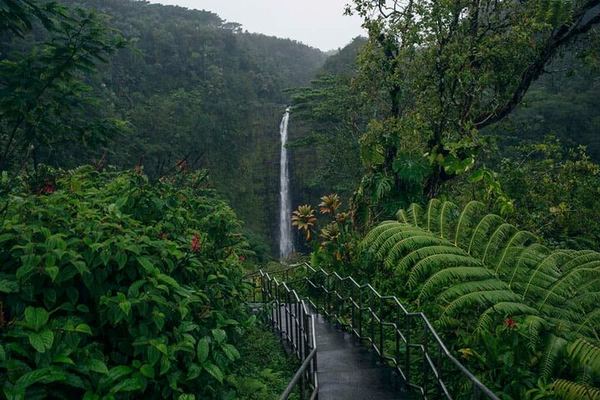 Akaka Falls at 442 Feet, plus Hilo and a Self-Guided Volcanoes Explorer