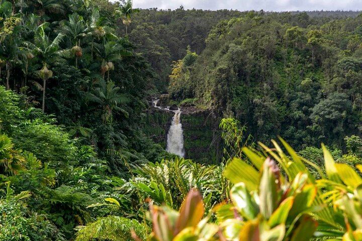 Akaka Falls Tour - Volcanoes National Park and Hilo Discovery