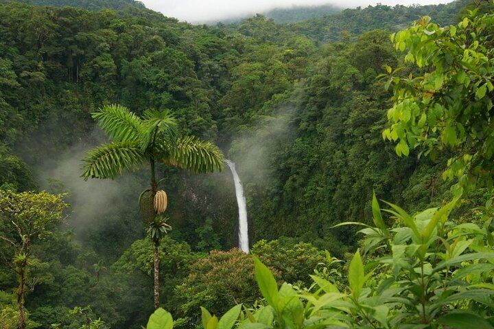 Arenal Best 4 Attractions Full Day Combo Incl. Lunch and Dinner