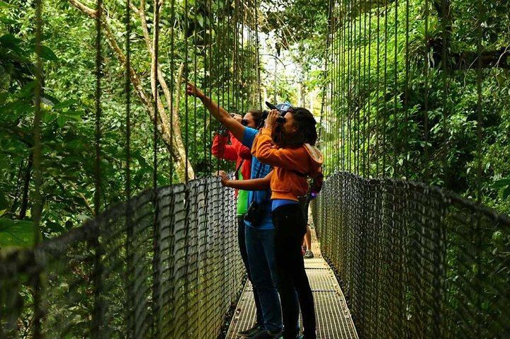 Arenal Full-Day Combo: Hike, Bridges, Waterfall & Hot Springs