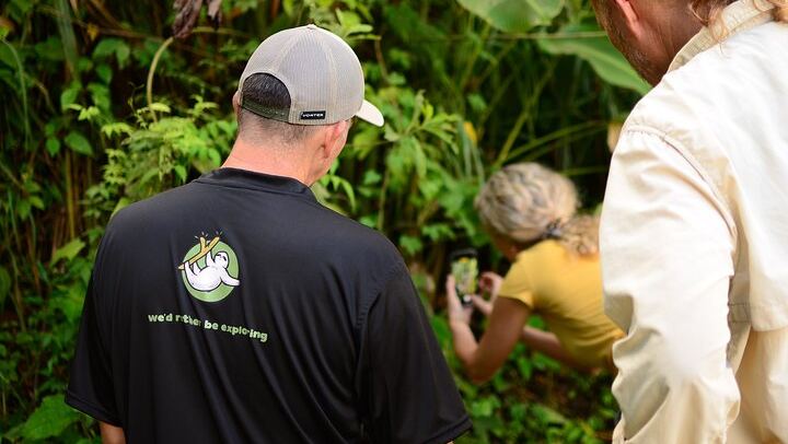Arenal Hanging Bridges and La Fortuna Waterfall Combo Tour