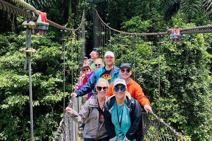 Arenal Hanging Bridges and La Fortuna Waterfall Combo Tour