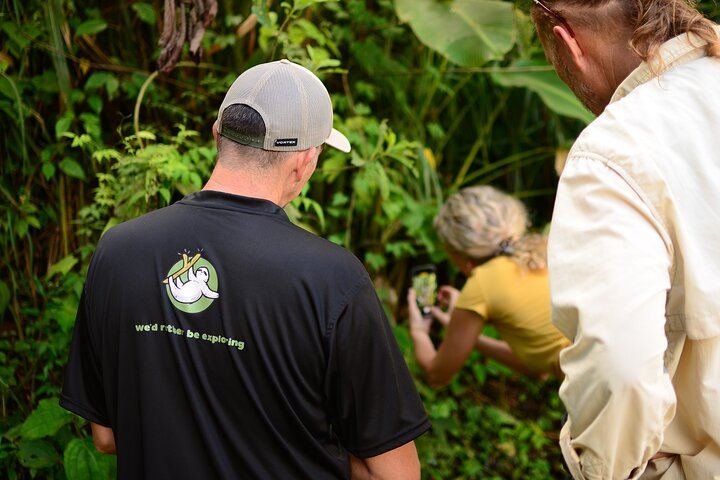 Arenal Hanging Bridges and La Fortuna Waterfall Combo Tour