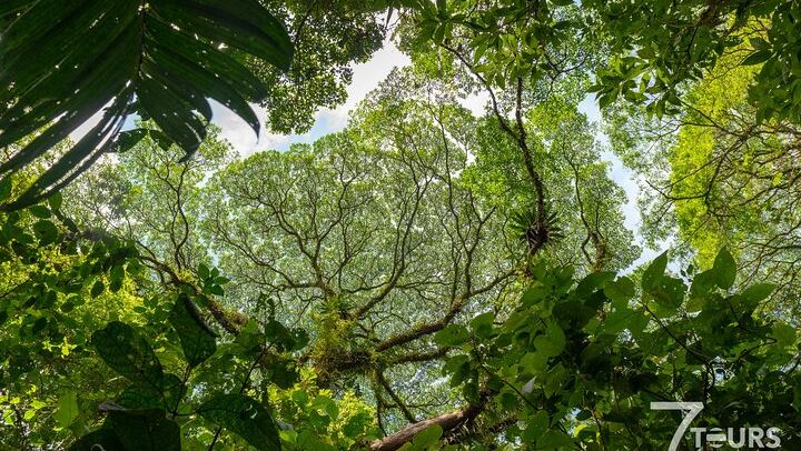 Arenal Highlights (arenal 1 Day) + Baldi Hot Springs & Dinner