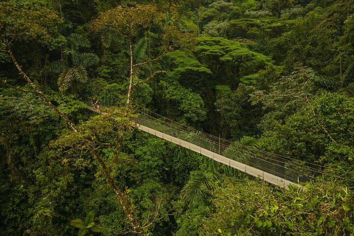 Arenal Highlights (arenal 1 Day) + Baldi Hot Springs & Dinner
