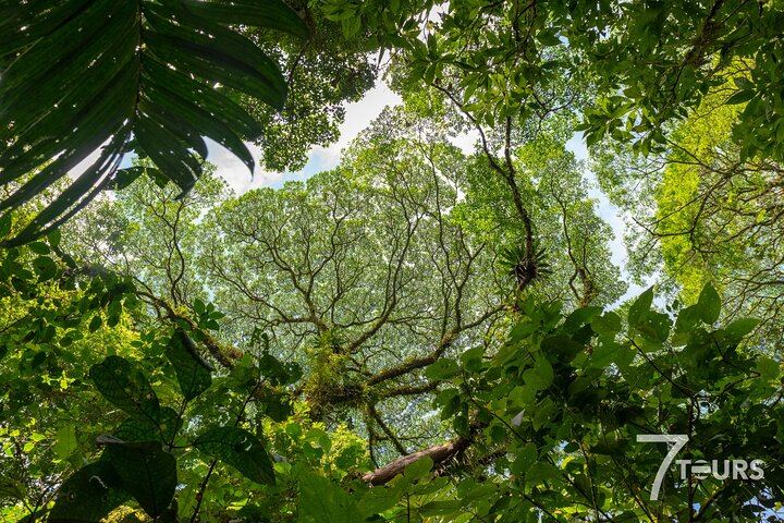 Arenal Highlights (arenal 1 Day) + Baldi Hot Springs & Dinner