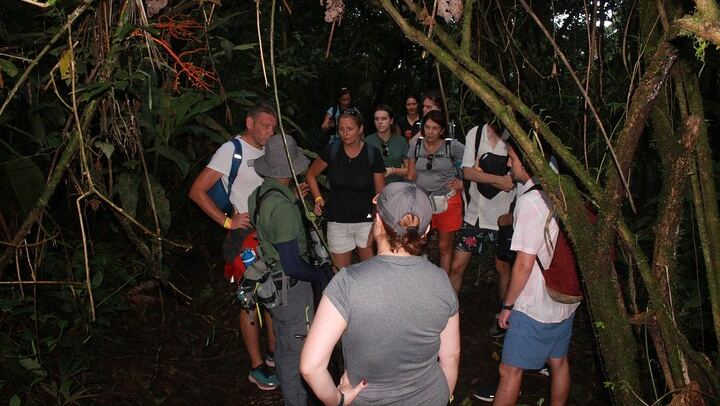 Arenal Night Hike - Snakes, Frogs & Wildlife