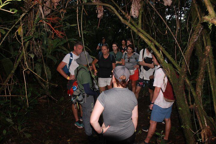 Arenal Night Hike - Snakes, Frogs & Wildlife