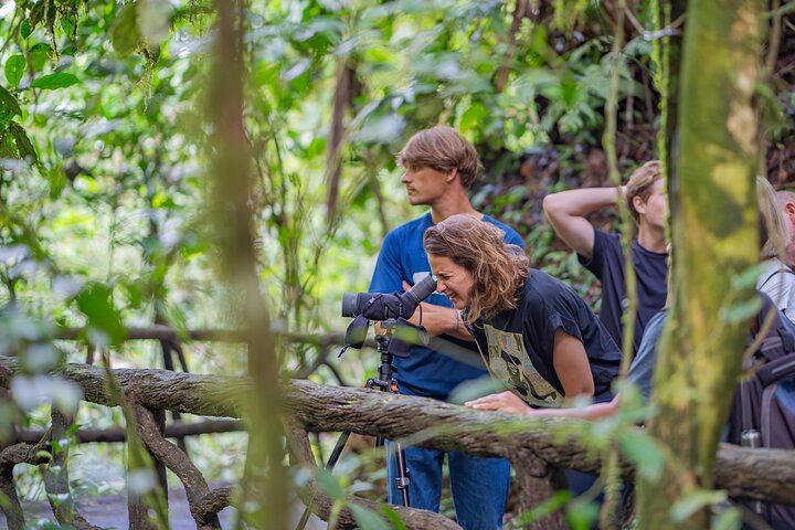 Arenal : Suspension Bridges + Hot Springs + Falls from San Jose