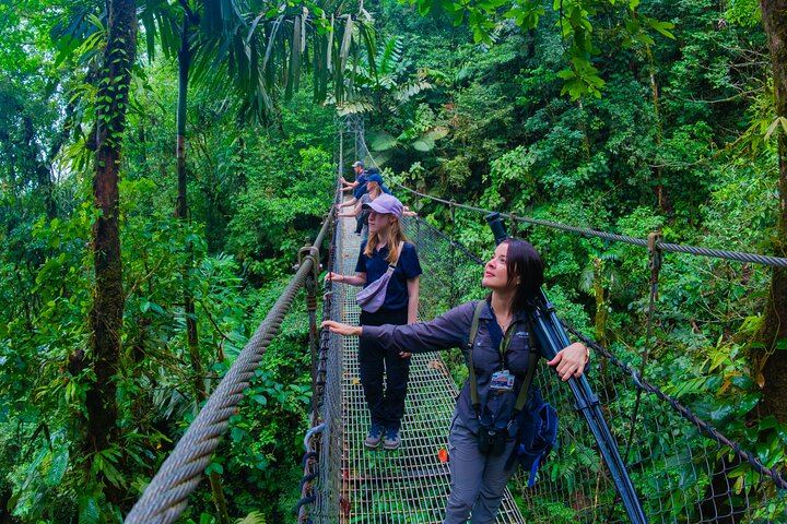 Arenal : Suspension Bridges + Hot Springs + Falls from San Jose