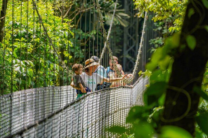 Arenal : Suspension Bridges + Hot Springs + Falls from San Jose