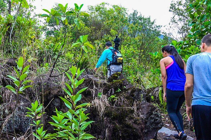 Arenal Volcano Guided Hike, Hot Springs Optional