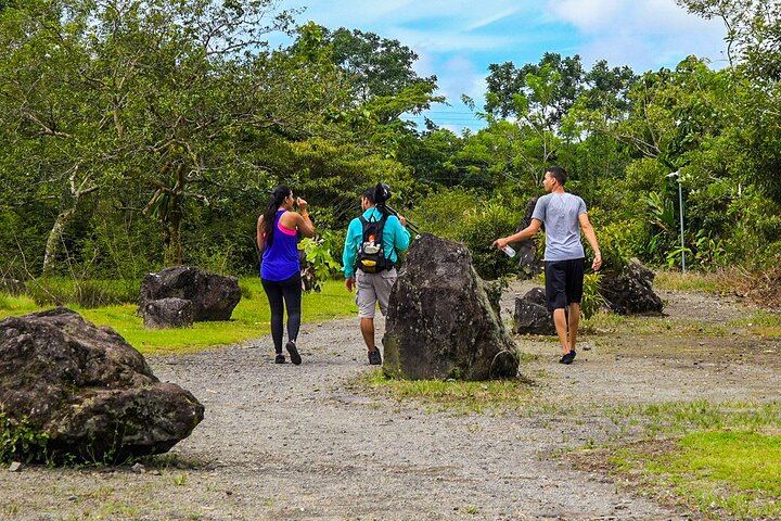 Arenal Volcano Guided Hike, Hot Springs Optional