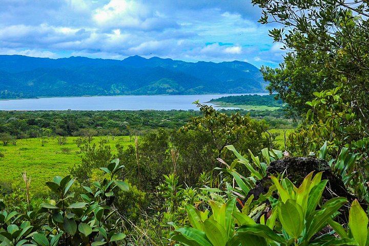 Arenal Volcano Guided Hike, Hot Springs Optional