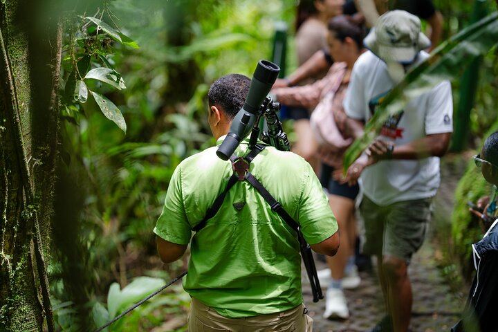Arenal Volcano Magic of Nature