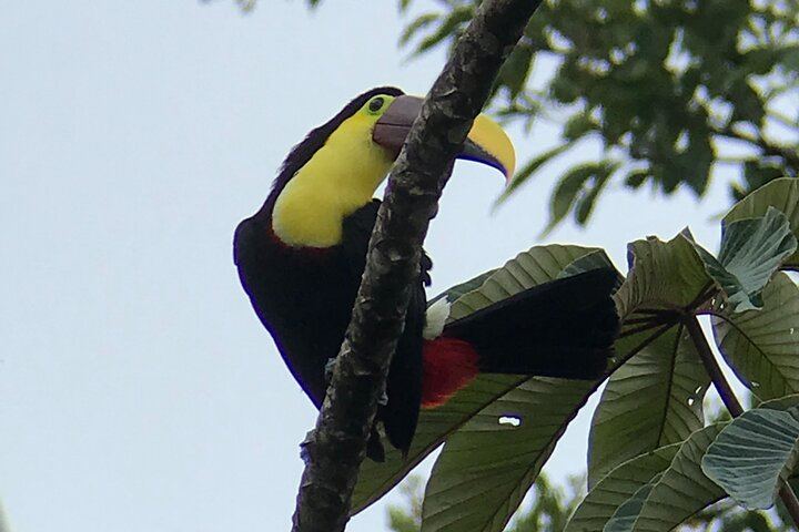 Arenal Volcano Magic of Nature