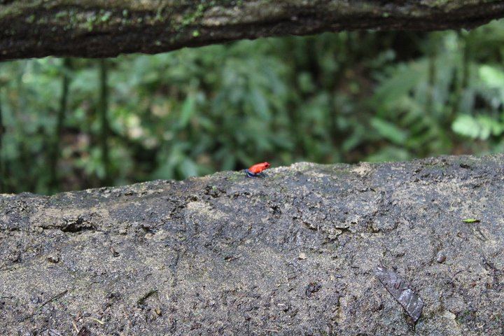 Arenal Volcano Magic of Nature