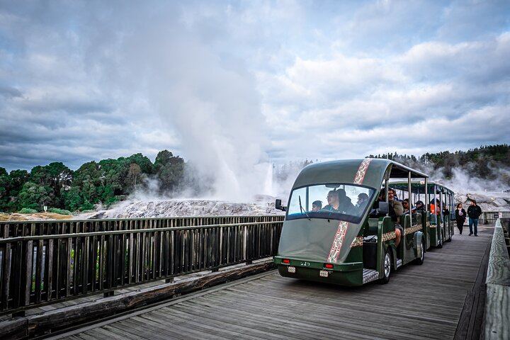 Auckland: Rotorua Tour with Waiotapu, Te Puia and Maori Haka