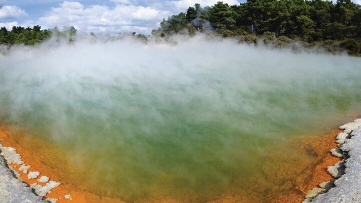 Auckland: Rotorua Tour with Waiotapu, Te Puia and Maori Haka