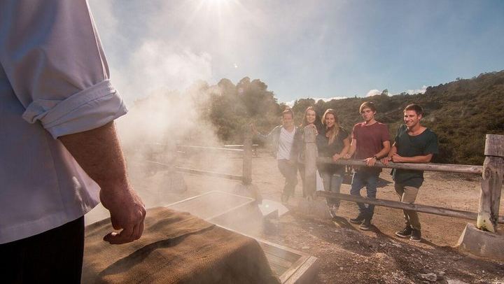 Auckland to Hobbiton Movie Set and Rotorua's Geothermal Valley
