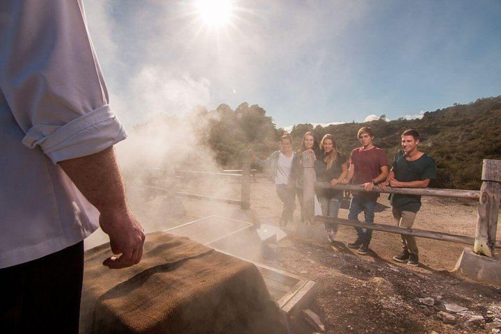 Auckland to Hobbiton Movie Set and Rotorua's Geothermal Valley