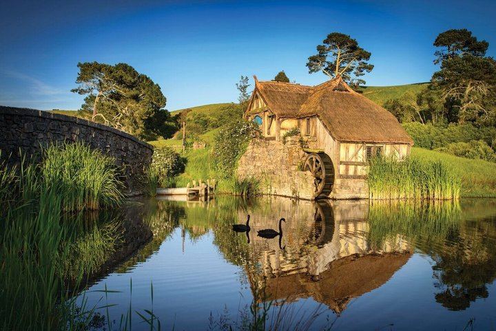 Auckland to Hobbiton Movie Set and Rotorua's Geothermal Valley