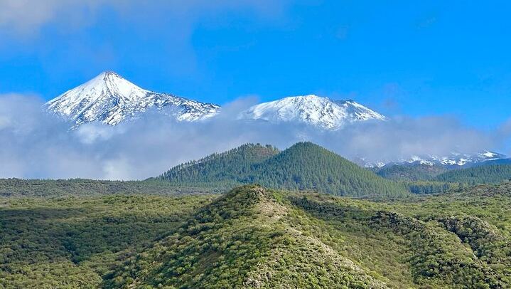 Authentic Tenerife, Teide and Masca on a Private Tour.