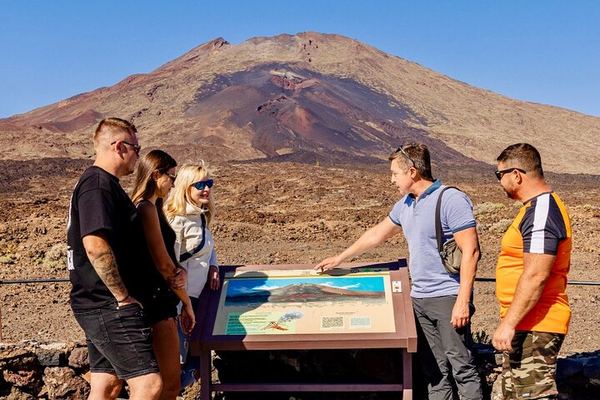Teide and the Masca Gorge in a Day, Private, with Barraquito