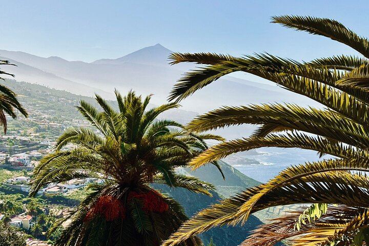 Authentic Tenerife, Teide and Masca on a Private Tour.