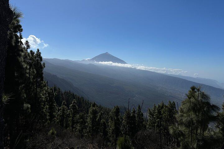 Authentic Tenerife, Teide and Masca on a Private Tour.