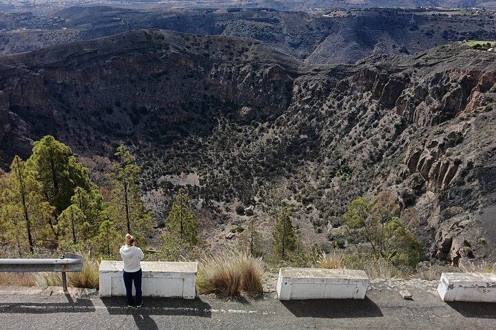 Bandama Caldera, Wine Tasting and Vegueta: Private Half-Day Tour from Las Palmas Port (11/12)