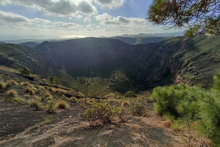 Bandama Caldera, Wine Tasting and Vegueta: Private Half-Day Tour from Las Palmas Port (10/12)