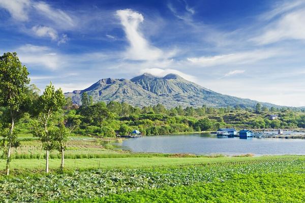 Private Ubud Day: Tegalalang, the Jungle Swing, Sebatu's Koi Temple and Batur