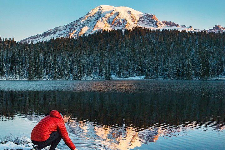 Best of Mount Rainier National Park from Seattle: All-Inclusive Small-Group Tour
