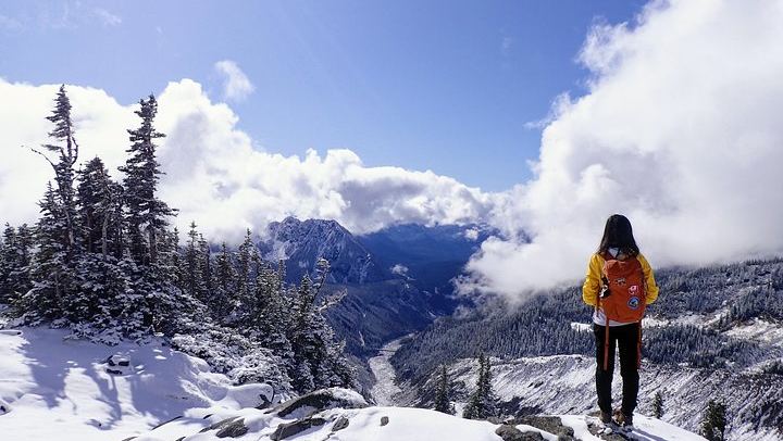 Best of Mount Rainier National Park from Seattle: All-Inclusive Small-Group Tour