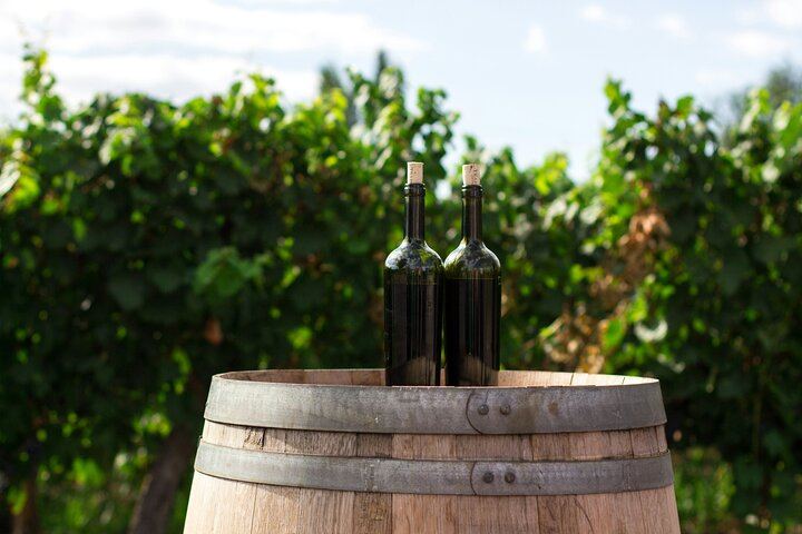 Best wine selected for you!
