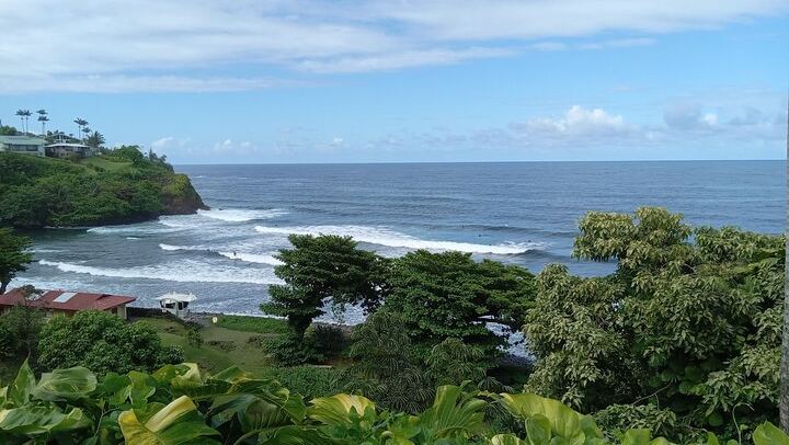 Big Island in a Day-Explore Volcanoes, Waterfalls, Beaches & more