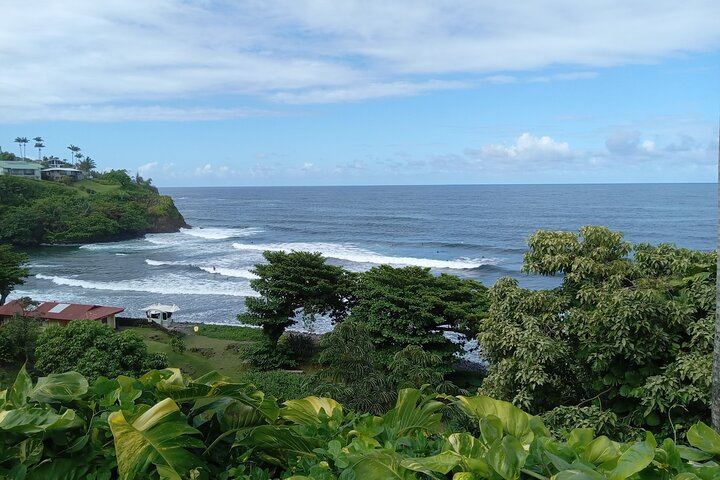 Big Island in a Day-Explore Volcanoes, Waterfalls, Beaches & more