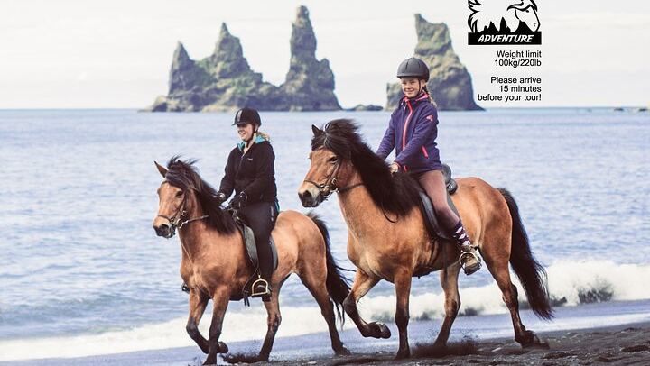 Black Sand Beach Horse Riding Tour from Vik