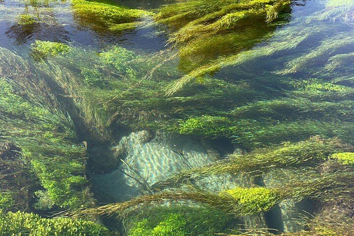 Blue Springs